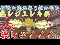 【ポケモン剣盾】光お守り効かない!?4096分の1の色レジエレキがほしい!【ゆっくり実況】