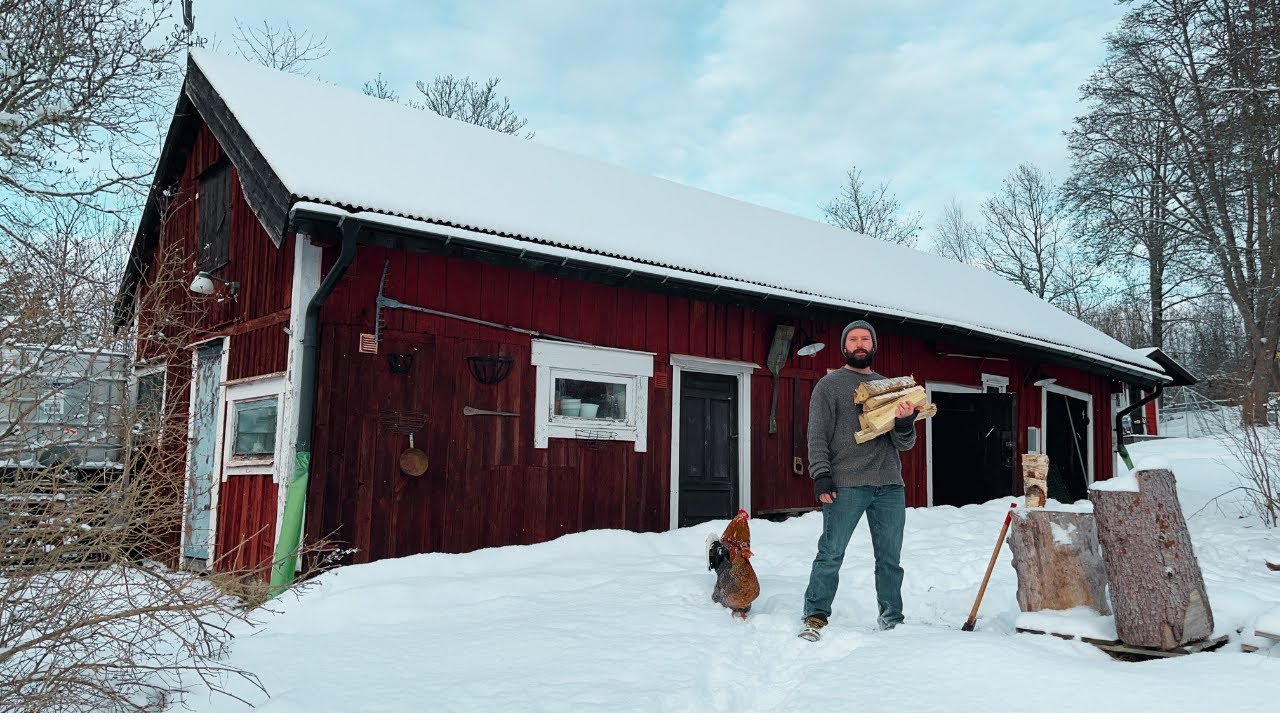 Winter chores on the homestead - YouTube