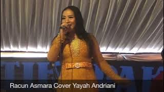 Racun Asmara Cover Yayah Andriani ( LIVE SHOW LANGKAPLANCAR PANGANDARAN)