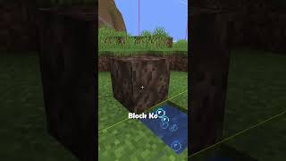 Statis That Can Save You Without Totem In Minecraft?
