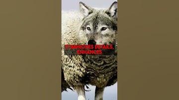 dopepics.io walkthrough: See how AI makes any image really dope!