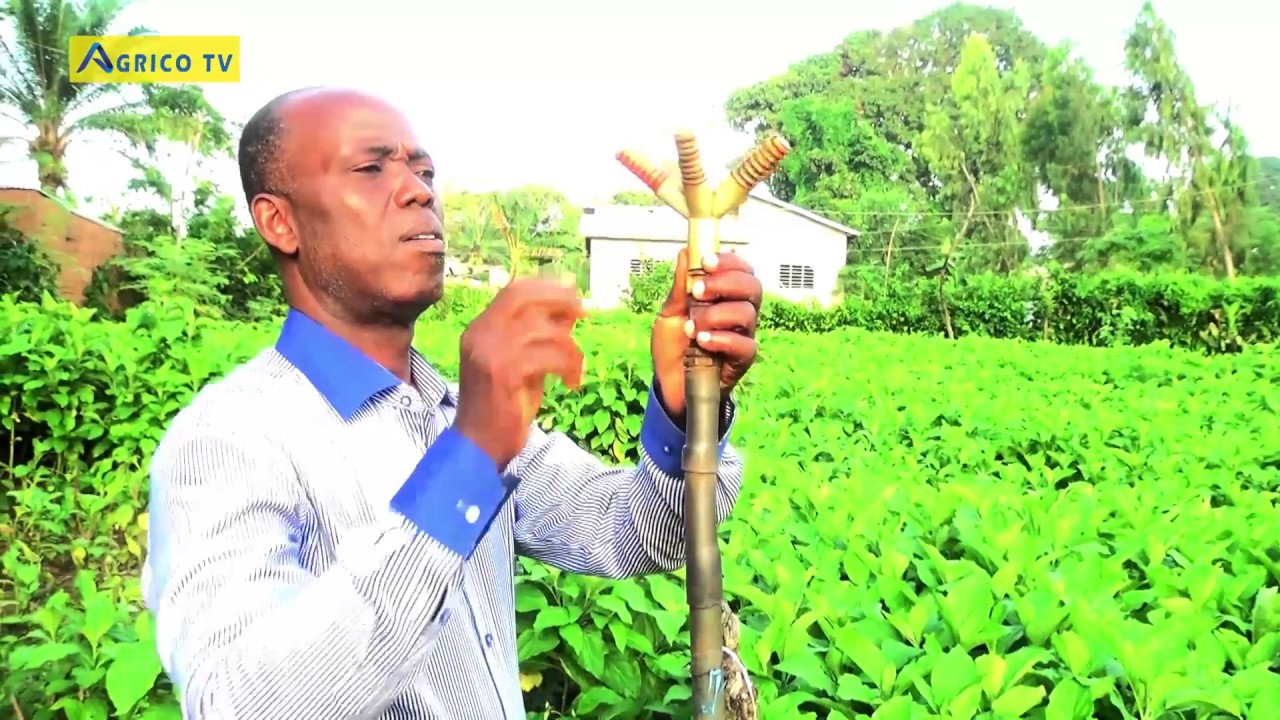MARAICHAGE - ROBERT DEGUENON UN EXPLOITANT AGRICOLE QUI FAIT LA FIERTE DU BENIN