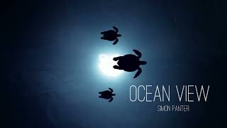 Video thumbnail of "OCEAN VIEW"