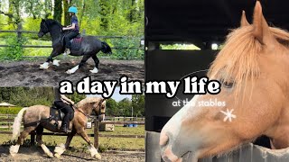 A DAY IN MY LIFE RIDING THE HORSES | HORSE VLOG