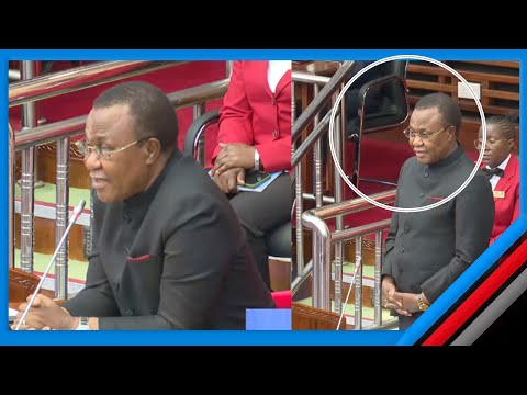 KATIKATI YA BUNGE LUKUVI AKANUSHA TETESI ZA YEYE KUGOMBEA NAFASI YA KUWA SPIKA WA BUNGE