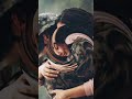 💔 bdi yad ati hai kisi ki ratoon mein ❤️🩹#sadshorts #emotionalshorts #loveshorts #hindi#viralshorts