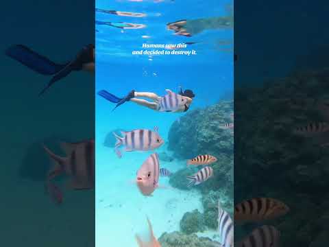 Sometimes it feels embarrassing to be a human 🙃