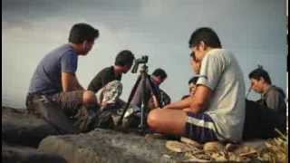 Lapse-It Test 2