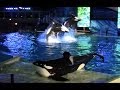 Shamu's Celebration: Light Up the Night (Full Show) at SeaWorld San Diego 6/20/14