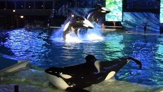 Shamu's Celebration: Light Up the Night (Full Show) at SeaWorld San Diego 6/20/14