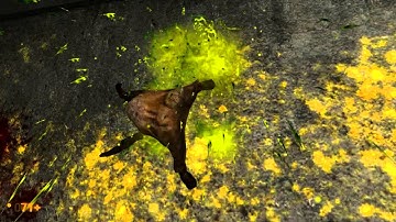 Fun with Black Mesa Source