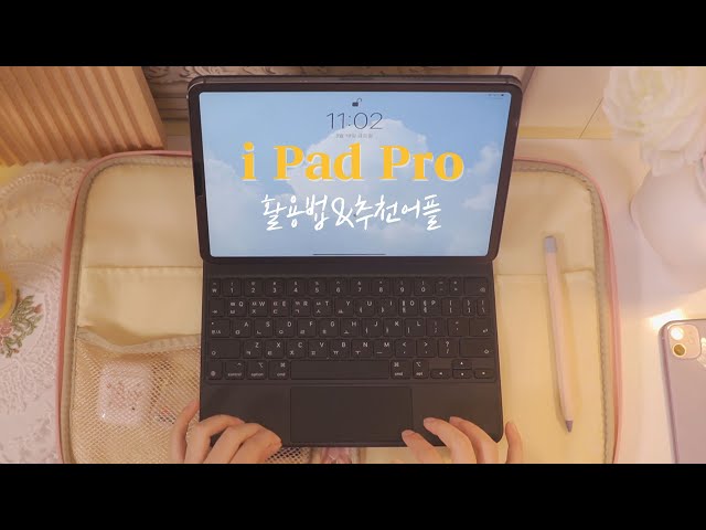 🍎앱등이의 아이패드 활용기 & 어플 추천 ( 노션, 프로크리에이트, 굿노트, 스플릿 뷰 )