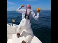Sea fishing for bluefin tuna #bluefintuna #fishing #bluefintunafishing #tuna #fish #fishinglife