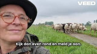 Download E-Book En Ontdek Het Introprogramma Leiderschapsparadox