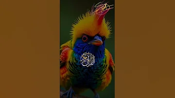 وما من دابة في الأرض ولا طائر يطير بجناحيه إلا أمم أمثالكم 
