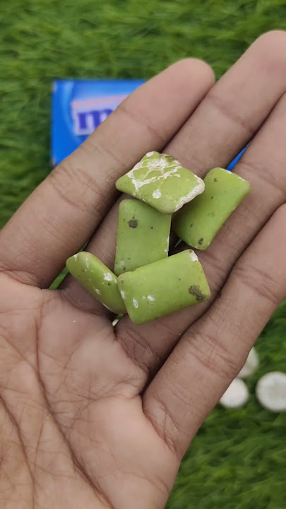 NOOO 😛 #putyourtongueaway #cutepenguin #adorableanimals