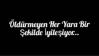 Sen Nasıl Bir Yarasın..