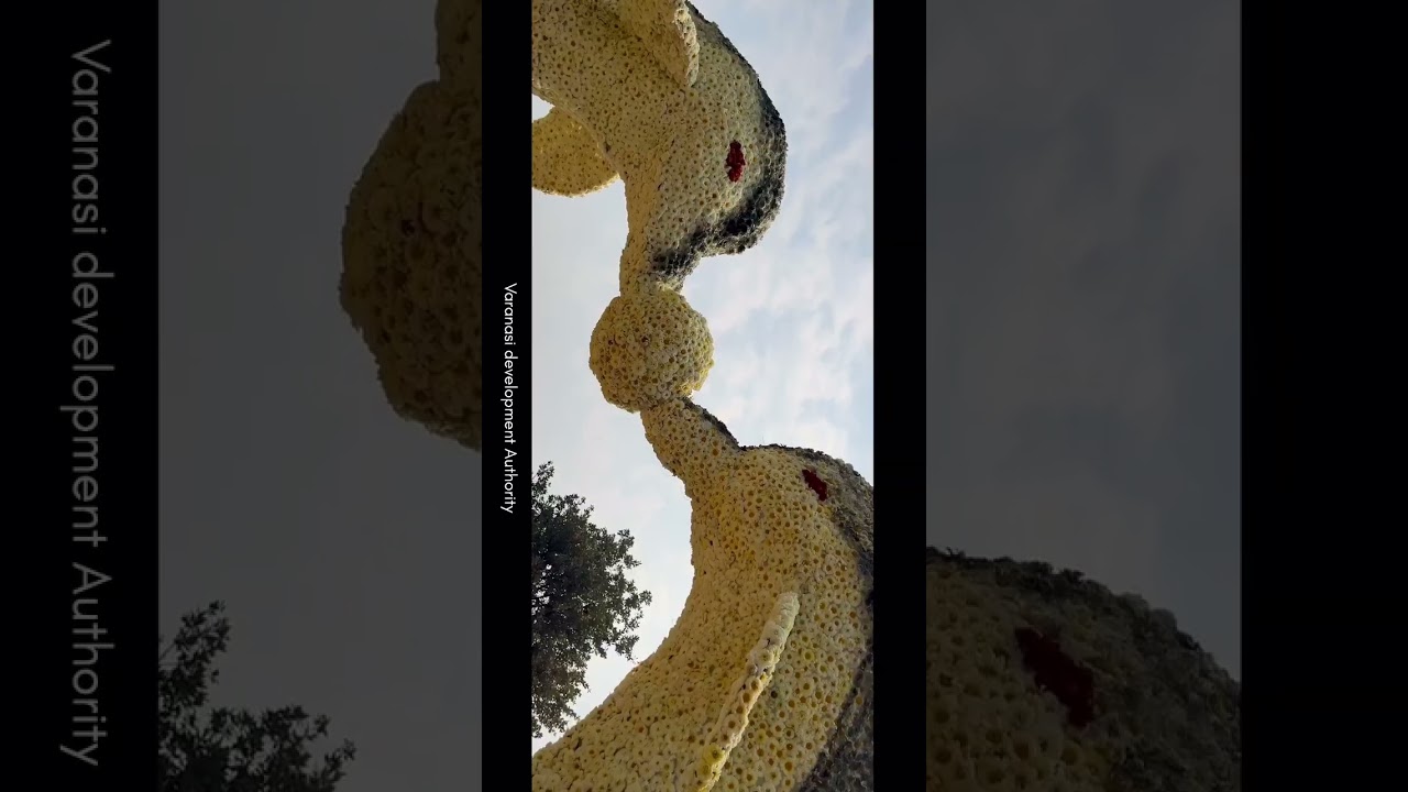 Biggest flower exhibition of Varanasi organised by VDA Varanasi 