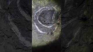 Unusual Quartz Spiral In Gold Mine