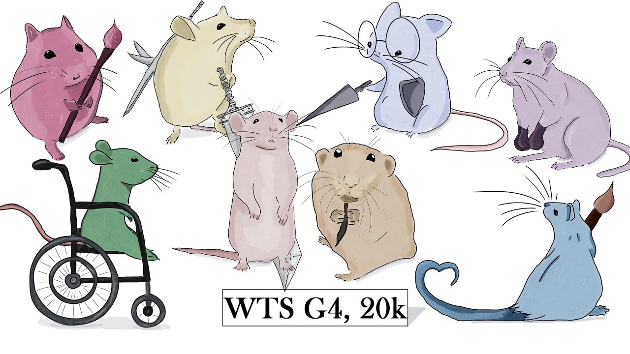 Ratlympics - TEAM WTS G4 20k