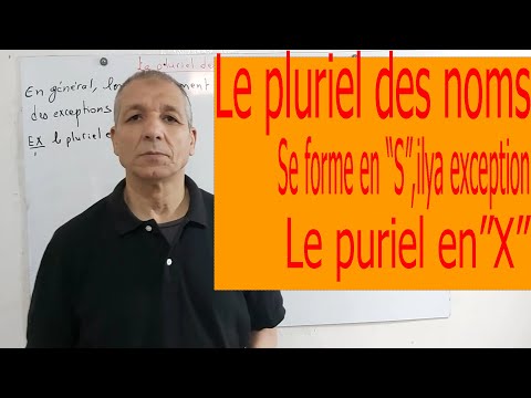 Le pluriel des noms