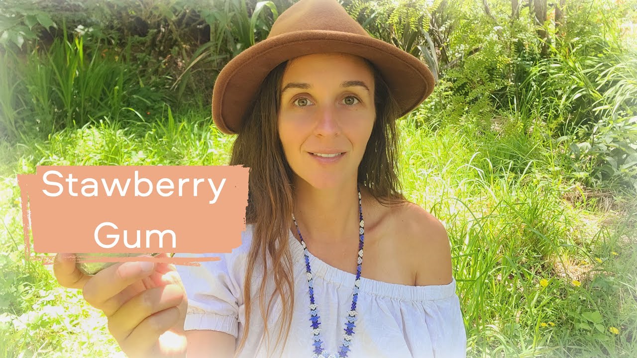 Discover the Power of Strawberry Gum | Native Bush Food