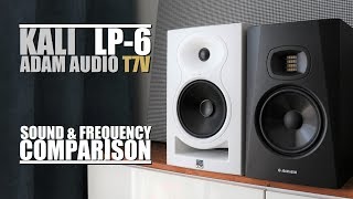 Kali LP-6 vs Adam Audio T7V  ||  Sound & Frequency Response Comparison