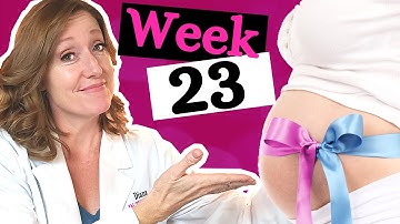23 Weeks Pregnant in Months | Week 23 and What to Expect