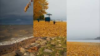 картинка: на  берегу  осеннем