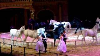 Horse Evolution Show (2009.nov.14. Debrecen,Hungary) / 4.