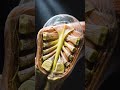 How Carpal Bones Actually Work Together #wrist #anatomy