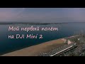 Мой первый полёт на DJI Mini 2