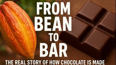 How Chocolate Is Made 🍫 | The Secret Journey From Cocoa Bean to Candy Bar (Full Documentary)