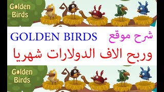 شرح موقع golden birds و ربح المال مجانا