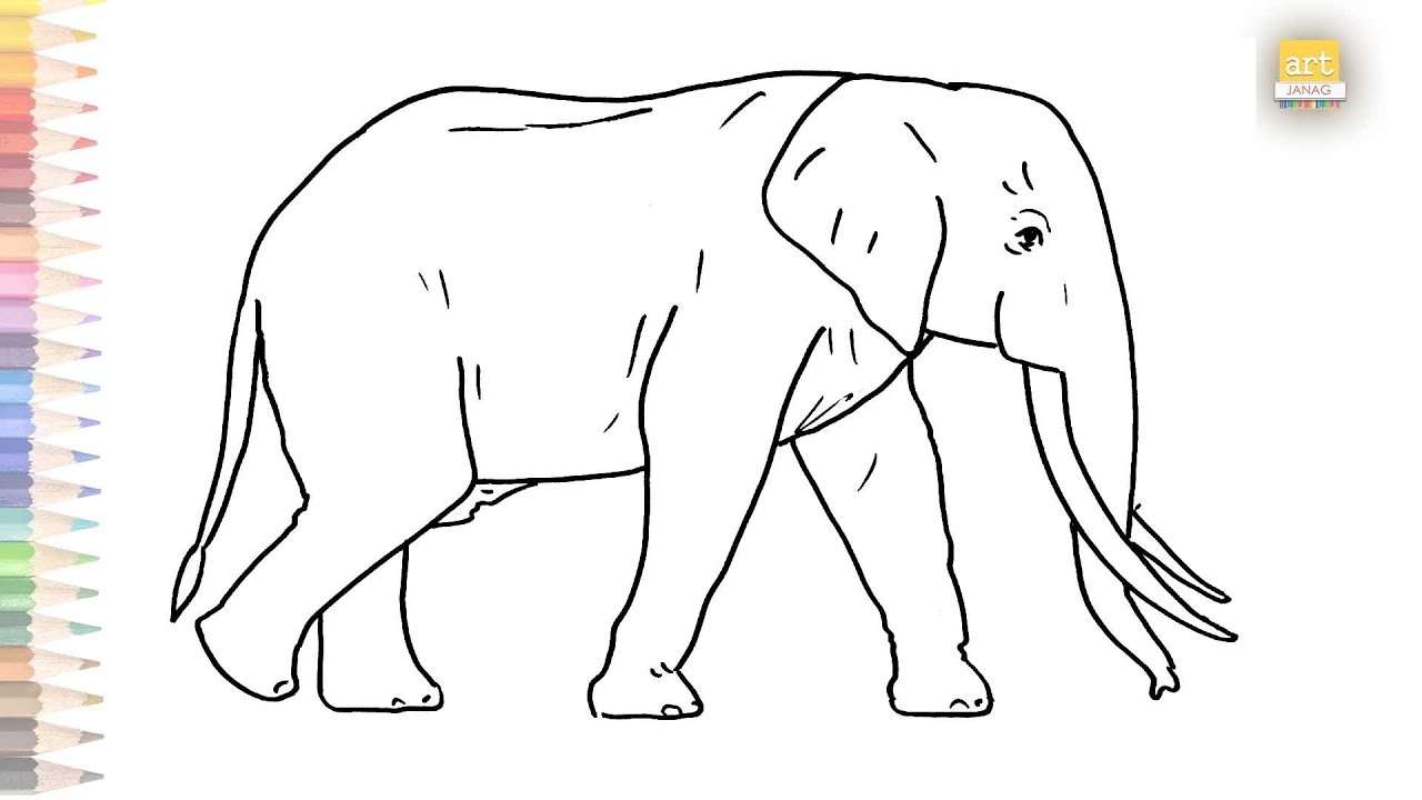 Free Printable Zoo Animals Coloring Pages for Kids