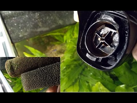 Video: Kako očistite prezračevalni filter?