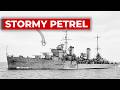 The 'Australian' British-Built Cruiser That Hunted The Italian Navy's Fastest Ship Until It Sank