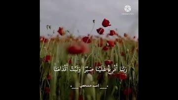ربنا أفرغ علينا صبرا... | من سورة البقرة | أحمد الشافعي | راحة لقلبك 💙🌺