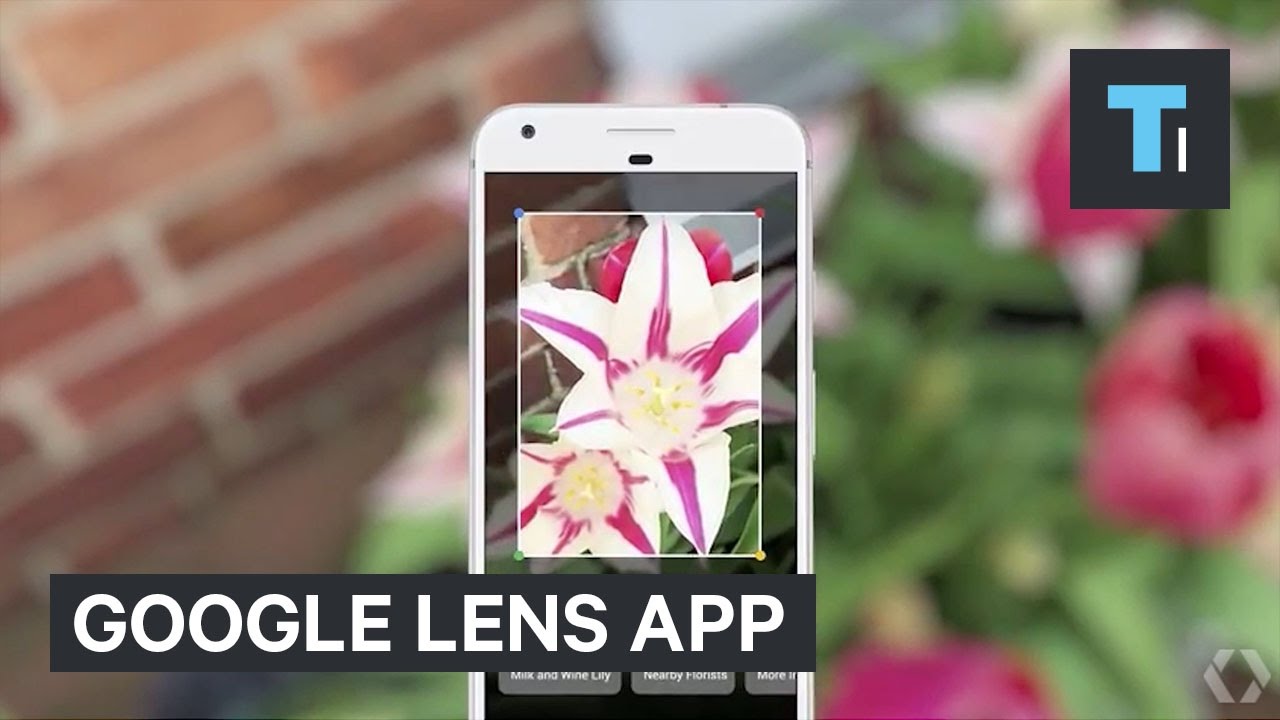 Google's Lens AI camera is now a standalone app