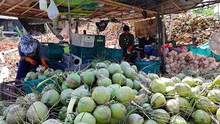 Coconut Human Machines! Amazing Coconut Cutting Skills - Thai Street Food