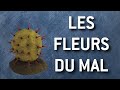 Warhammer: Les plantes xenos mortelles de warhammer 40 000