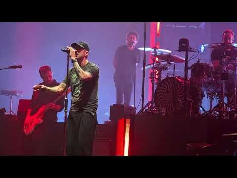 Video Need Your Love - One Republic