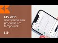 LIV APP: O aplicativo para acompanhar seu processo imigratório em tempo real