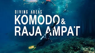 Diving in Raja Ampat & Komodo 4K | The best diving areas in 2022!