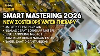 🔴 LIVE Smart Mastering, ZOSTEROPS WATER THERAPY, Terapi Pleci 2026   Pleci Betina