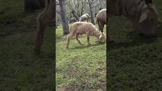 #dancehall #music #2023