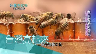 20170806【台灣亮起來PART2】皮件大王轉賣蜂蜜冰棒 珍貴蜂王乳稱霸泰.中〡郭雅慧主持〡三立新聞台