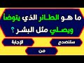 اسئلة دينية صعبة جدا واجوبتها   اسئلة دينية عن الانبياء اسئلة دينية عن الرسول والصحابة