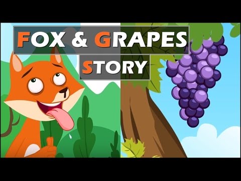 Video: Rock Grapes