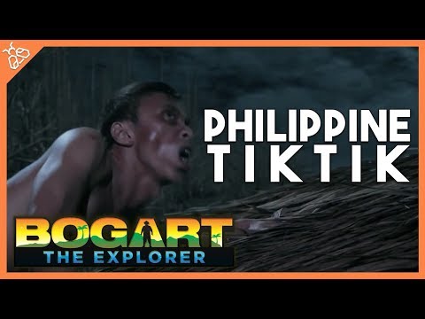 Bogart the Explorer: Aswang Hunter - Chapter 1: The Philippine Tiktik